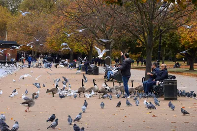 DSC_0650 (Large).JPG